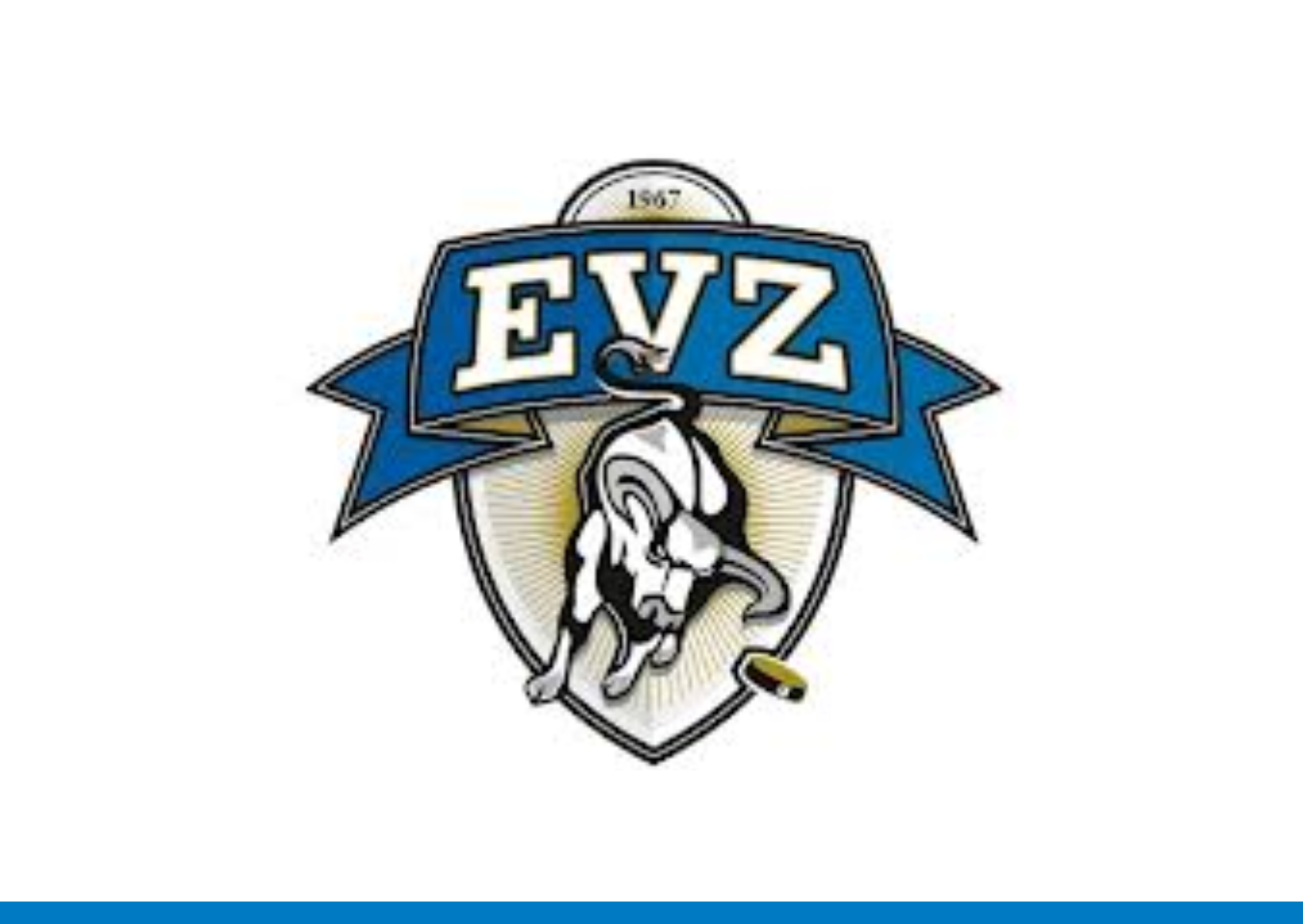 EVZ Management AG